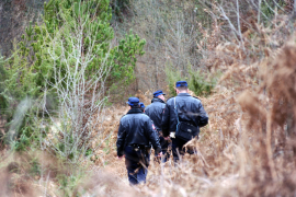Muškarca iz Doboja prilikom sječe šume drvo udarilo u glavu i ubilo