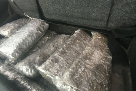 SIPA zaplijenila 650 kilograma skanka u Neumu