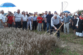 Održana Deveta "Rogoljska žetva"