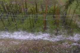 Nevrijeme praćeno gradom pogodilo Tešanj i Zavidoviće