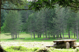 Počinje prvi rok festival