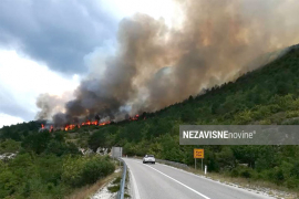 Požar kod Trebinja lokaliziran, vatrogasci dežuraju i tokom noći