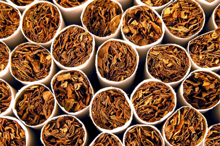 Od Bilećanina oduzeto 550 kutija cigareta