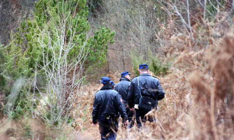 Muškarca iz Doboja prilikom sječe šume drvo udarilo u glavu i ubilo