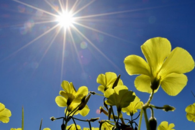 Pretežno sunčano, temperature do 34ºC