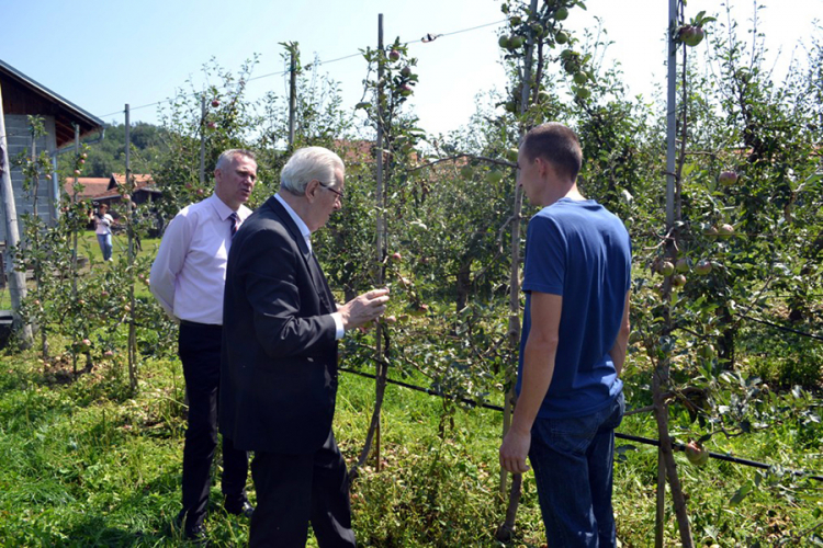 Mirjanić: Vlada će pomoći poljoprivrednicima u saniranju šteta od grada