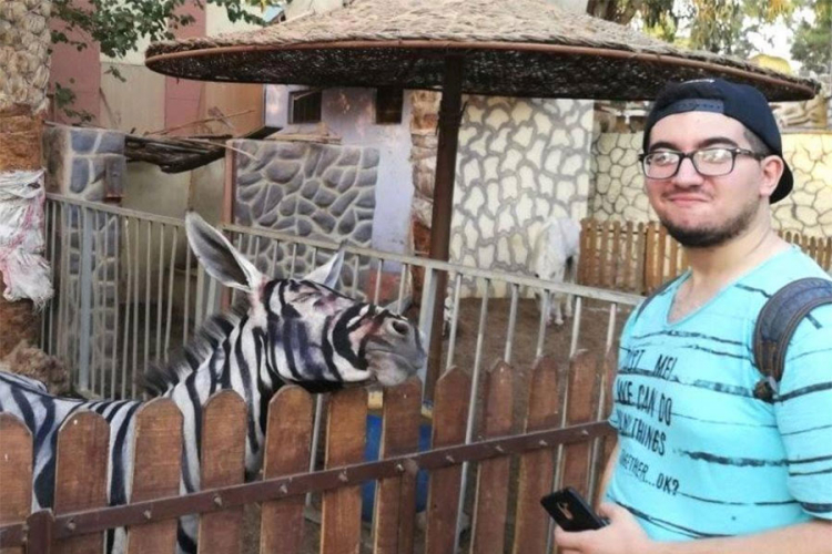 Ofarbali magarca u zebru