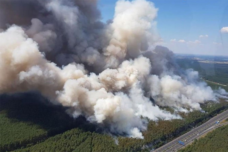 Kod Berlina gori veliki šumski požar