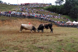 U nedjelju na Popovića brdu 246. Grmečka korida