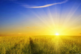 Sunčano sa temperaturom do 36