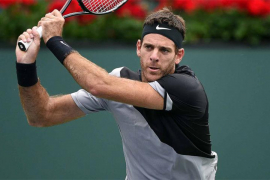Del Potro se povukao sa Rodžers kupa