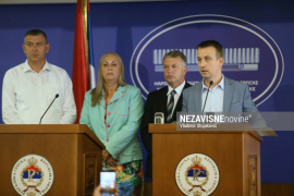 Opozicija: Tužilaštvo namjerno odugovlači istragu ubistva Davida ...