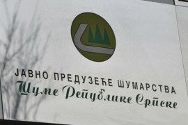 Polugodišnja dobit "Šuma Srpske" 2,7 miliona KM