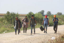 Na području Novog Grada pronađena četiri migranta