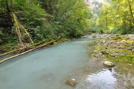 Što prije razbistriti rijeku Blihu