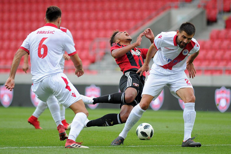 Zrinjski pred vratima raja