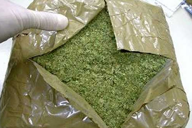 Zaplijenjeno više od 15 kilograma marihuane
