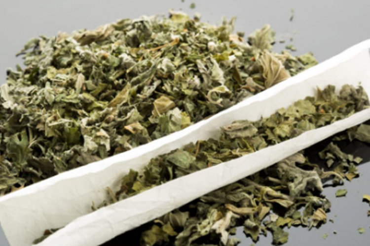 Kod Tuzlaka pronađena marihuana i spid