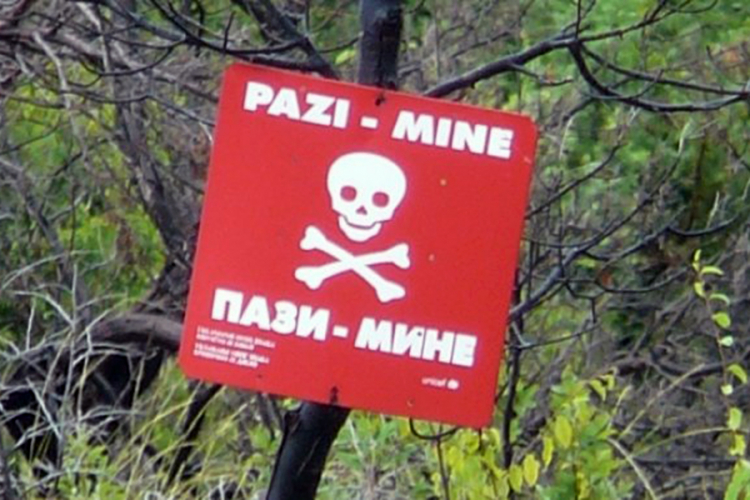 Kradu drva iz miniranih šuma