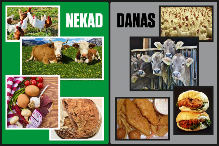 Nedostatak Omege-3: Uzrok oboljenja modernog doba