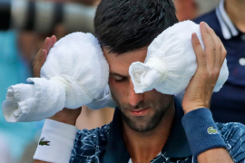 Novak ni riječ o zdravstvenim problemima: Pokušavao da se držim na ...