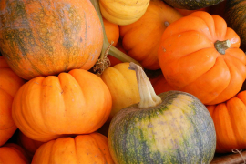 Bundeva - jesenska kraljica vitkosti i zdravlja
