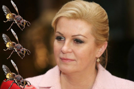 Kolindu napao roj stršljenova na granici sa BiH