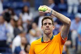 Del Potro: Đoković je favorit, ali to je bio i Federer
