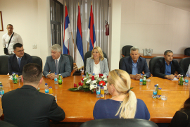 Cvijanović: Cilj - apsolutna pobjeda kandidata SNSD-a, DNS-a I SP-a