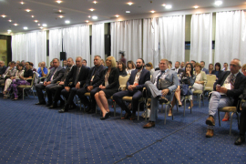 Ivanić: Slika o BiH odvraća investitore