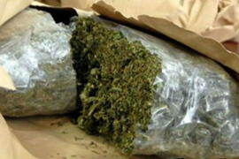 Zaplijenjeno oko 65 kilograma marihuane