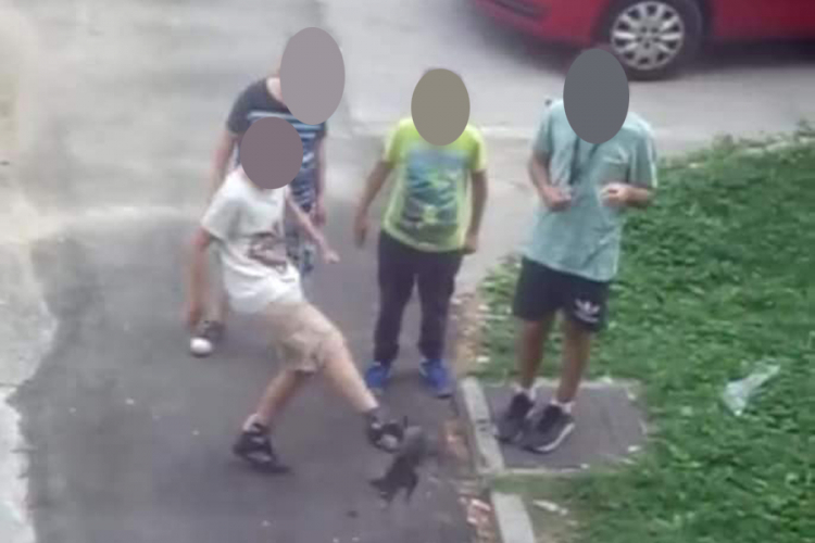 Oglasila se majka jednog od dječaka sa fotografija: Moj sin nije zlostavljao mačku