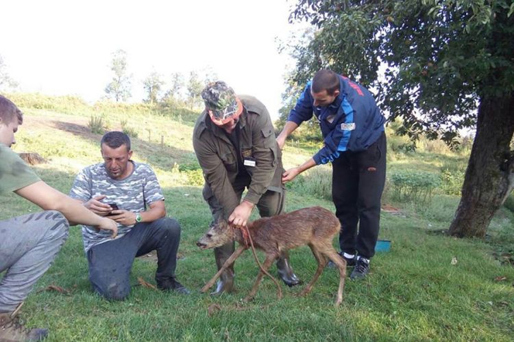 Spasili lane iz jame pa ga pustili na slobodu