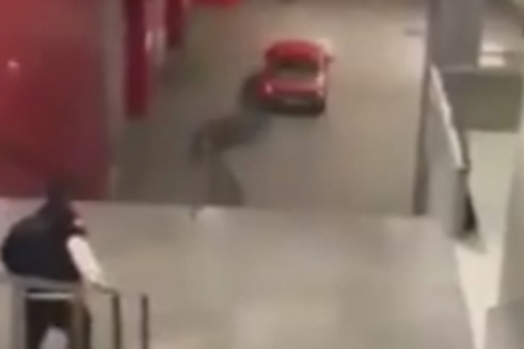 Banjalučki "kaskader" završio u britanskim medijima