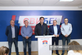 Govedarica: Radić nije povjerenik SDS-a