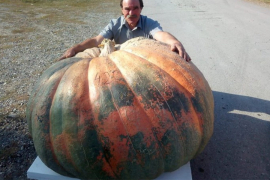 Najveća bundeva u Hrvatskoj teži 420 kilograma