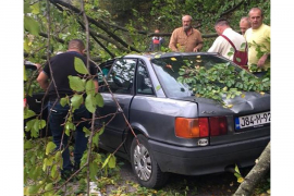Drvo palo na automobil u vožnji, dvije osobe povrijeđene