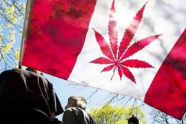 Posljednje pripreme za legalizaciju kanabisa u Kanadi