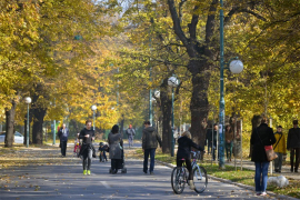 Sunčano i toplo, temperatura do 25 stepeni