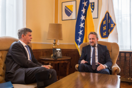 Izetbegović i Vigemark: Što prije formirati kvalitetnu vlast