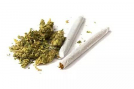 Kod maloljetnika nađena marihuana