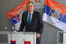 Bjelica na kućnom liječenju