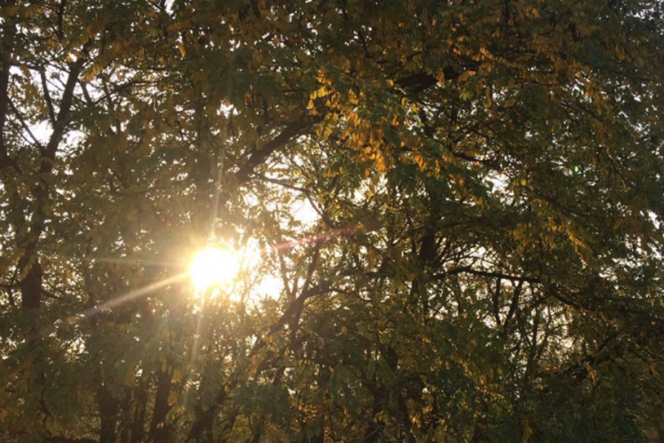 Ujutro oblačno i maglovito, popodne sunčano