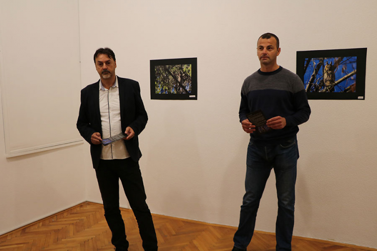 Male sove pred Trebinjcima