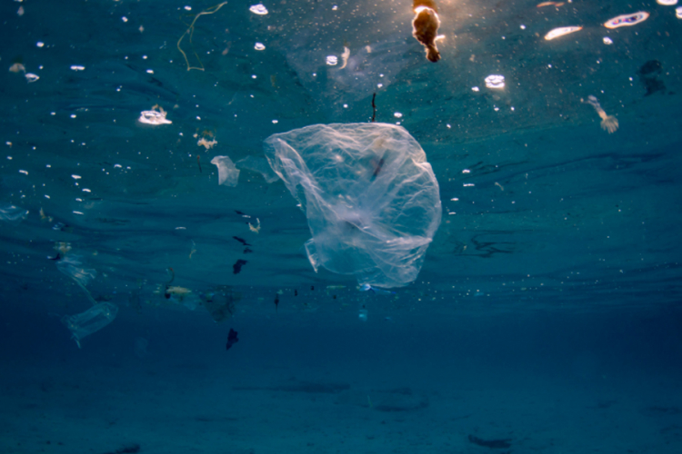 EP podržao zabranu plastike za jednokratnu upotrebu