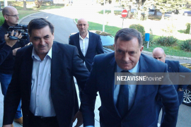 Petrović: Podržavam Dodika, njegovu snagu i energiju koju pokazuje u ...