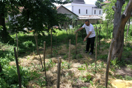 Gradska bašta "zasijana" prijavama za sadnju organskog voća i povrća