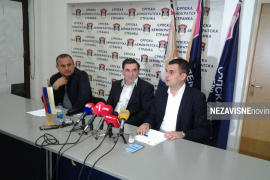 Petrović: Neko želi uništiti SDS, nastaviću sa radom sa ...
