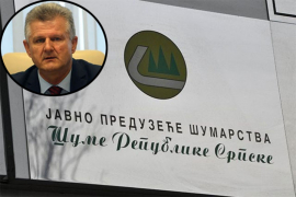 "Marić da izabere direktorsku funkciju ili poslanički mandat"