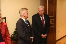 DNS Bijeljina: Podrška Paviću, očuvati jedinstvo stranke